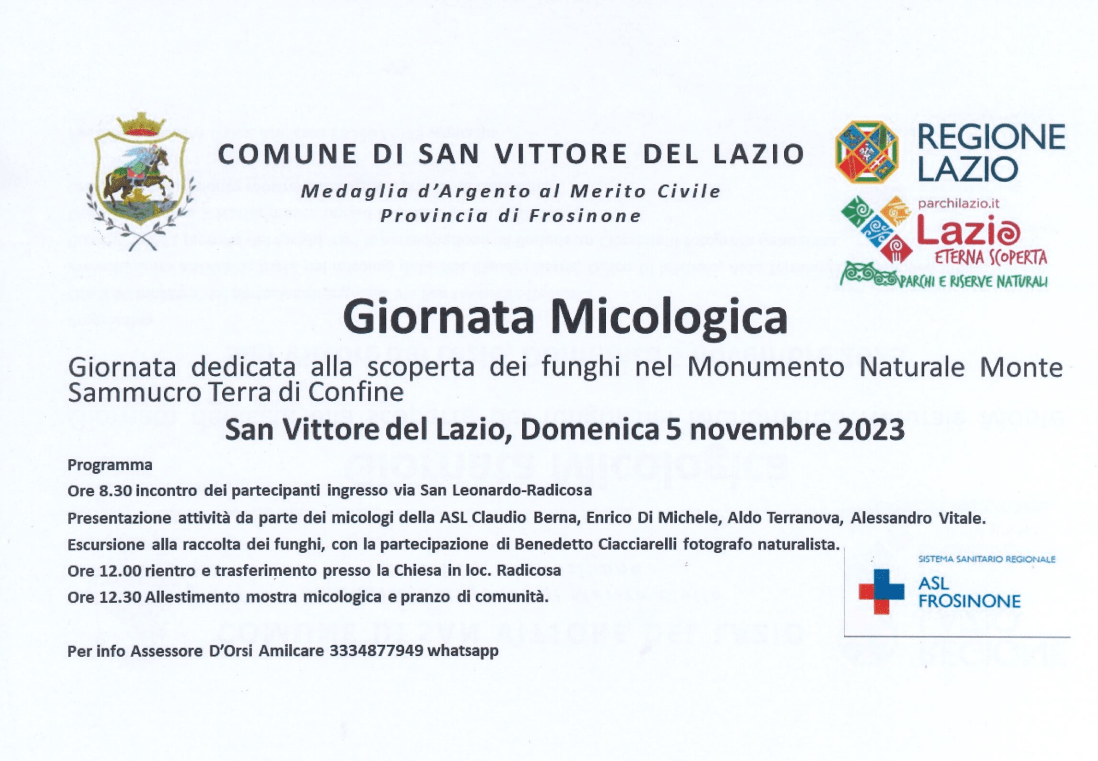 descrizione immagine